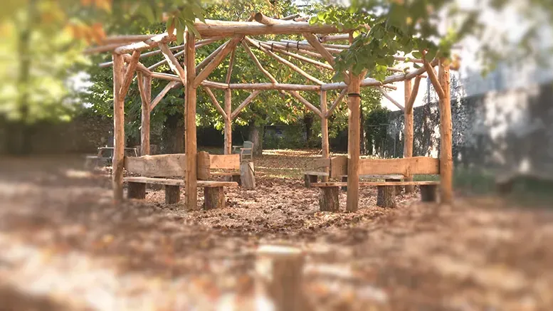 Le bois de châtaignier