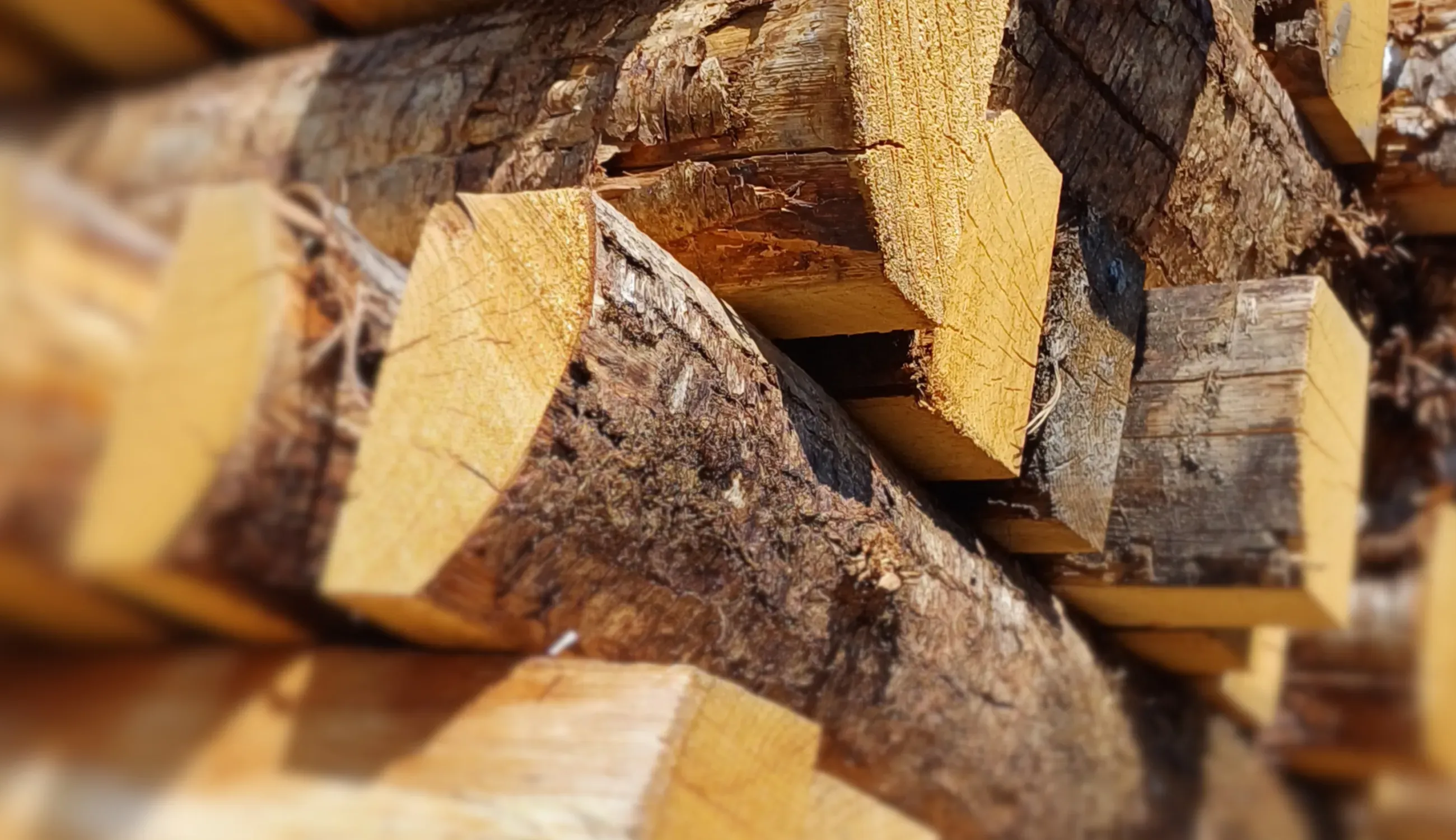 Le bois de châtaignier