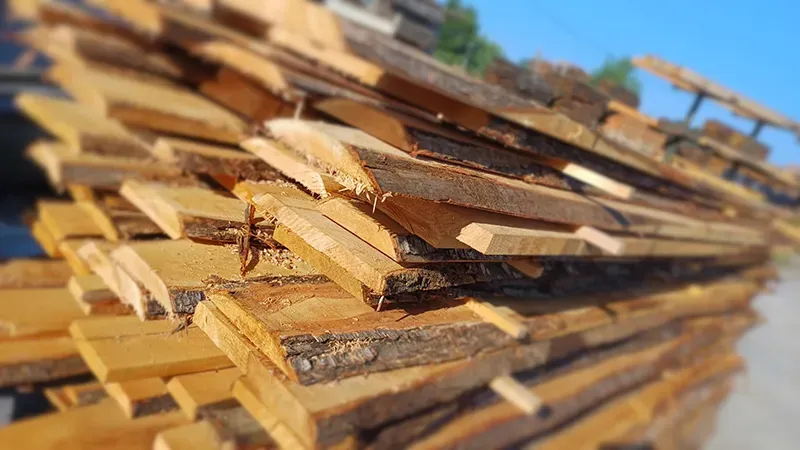 Le bois de châtaignier