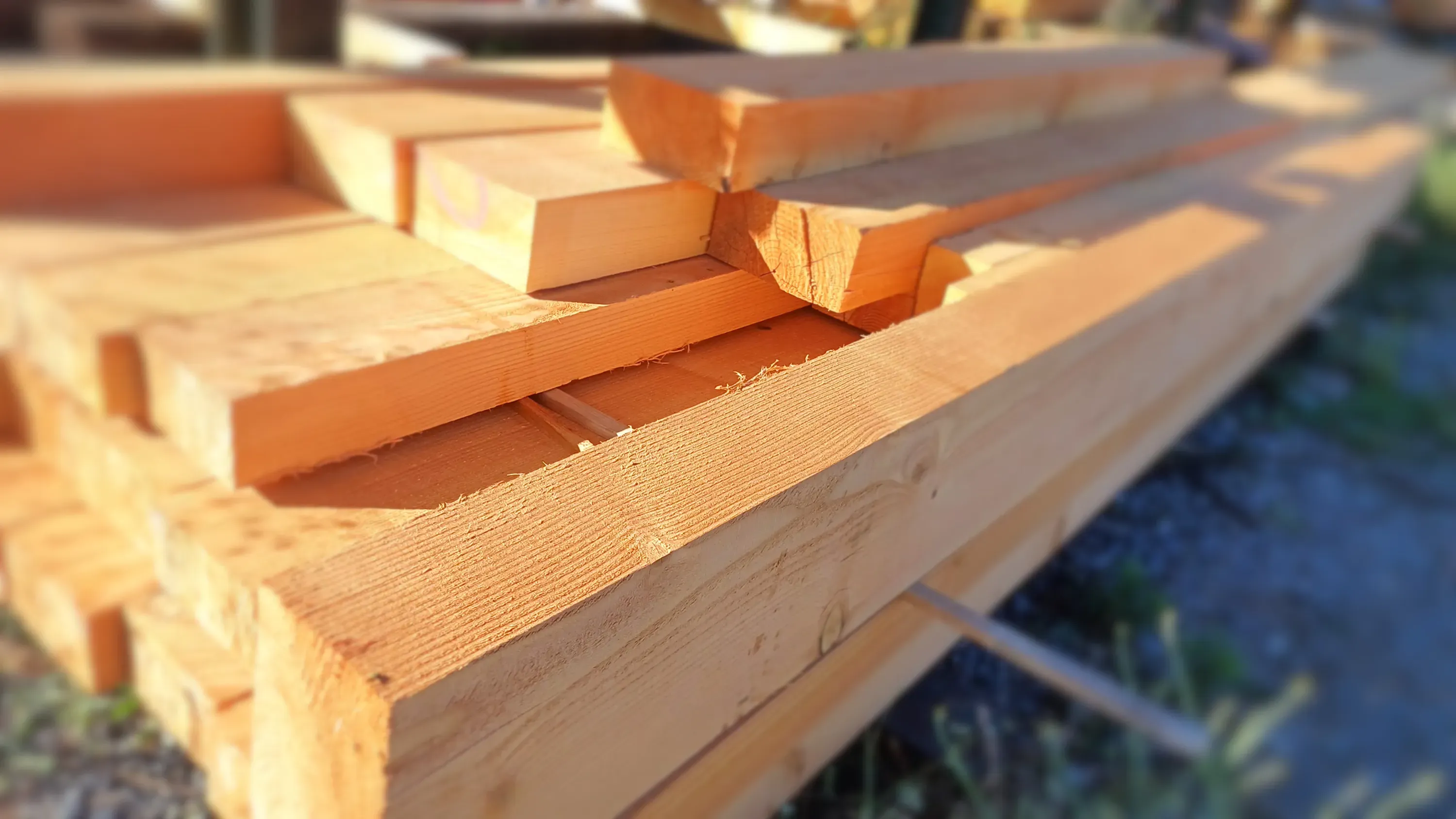 Le bois de châtaignier