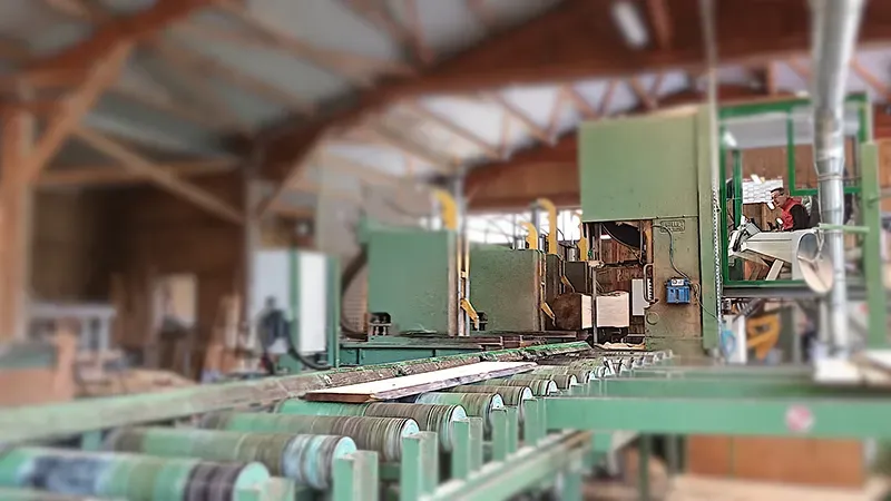 Le bois de châtaignier