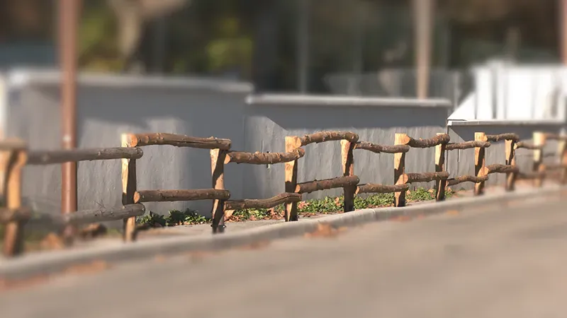 Le bois de châtaignier