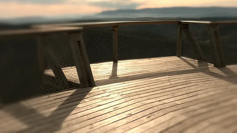 Le bois de châtaignier