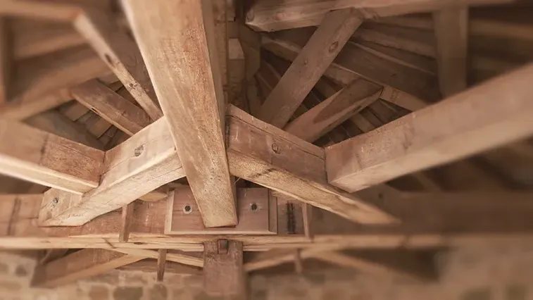 Le bois de châtaignier