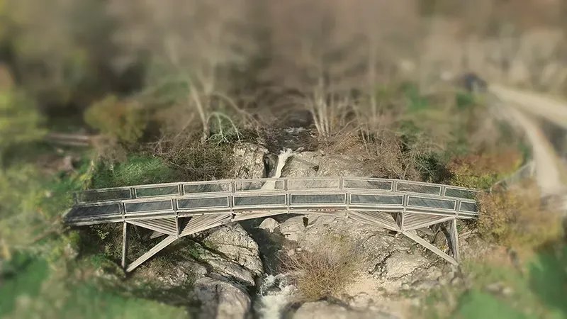 Le bois de châtaignier