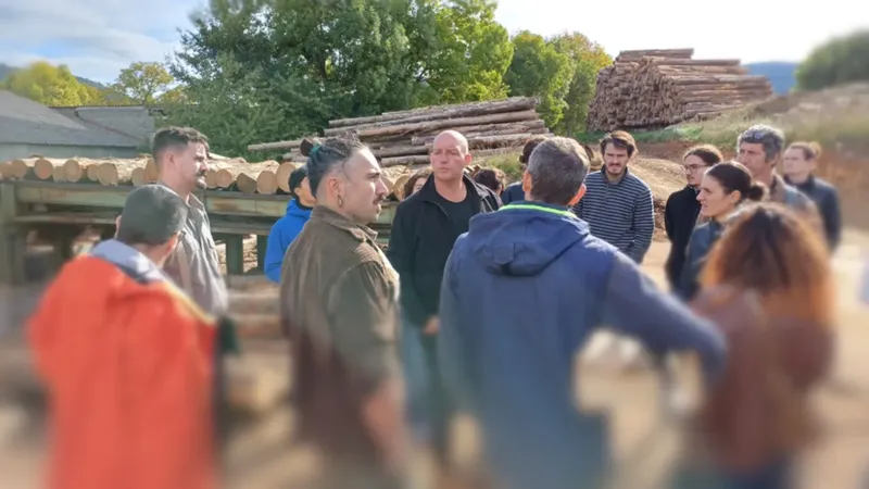 Le bois de châtaignier