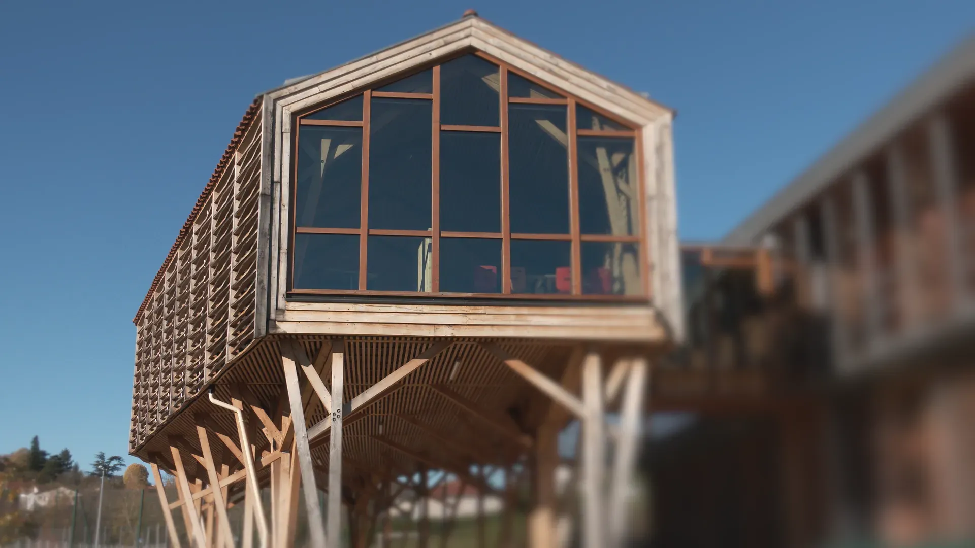 Le bois de châtaignier