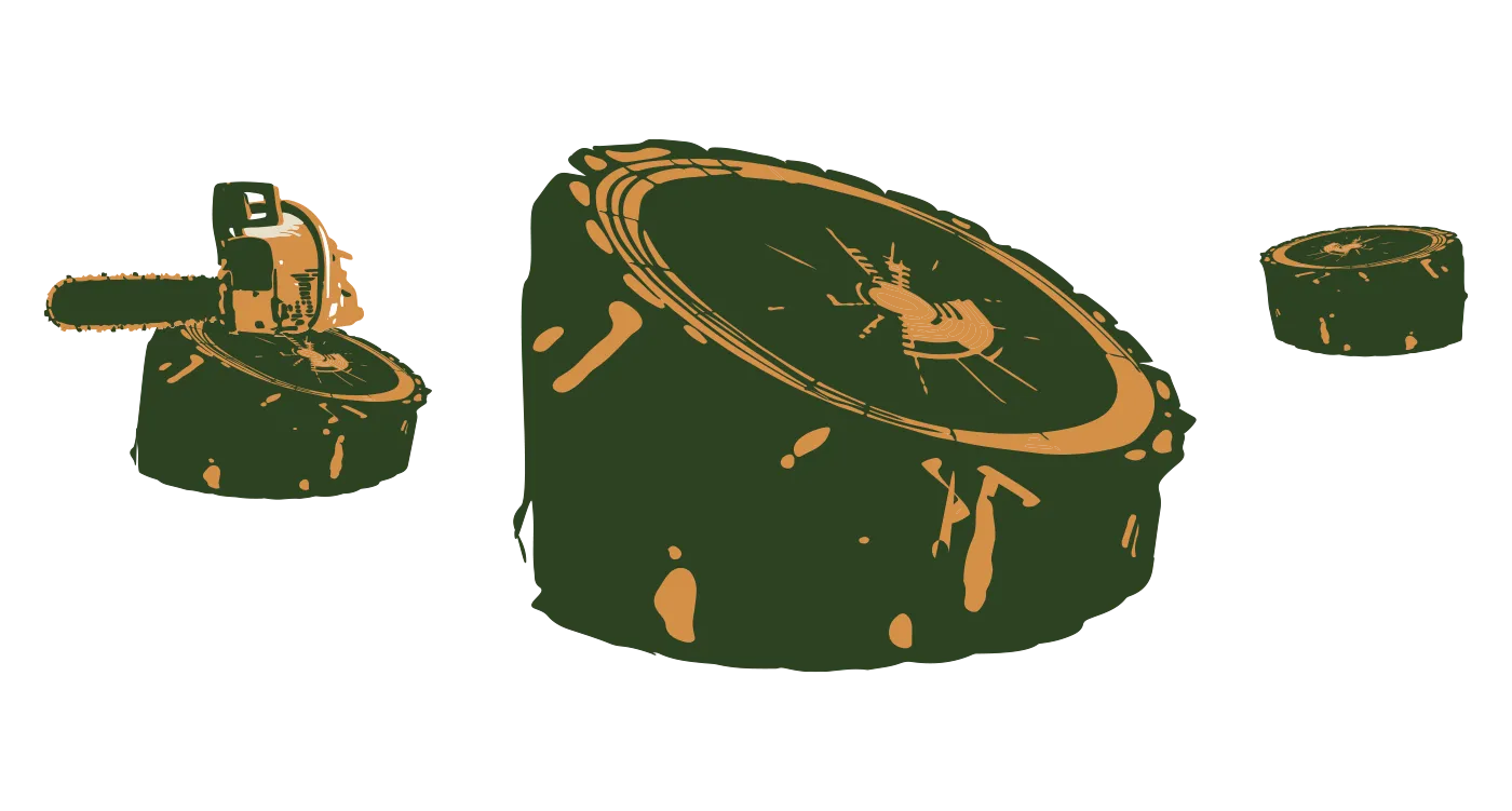 La coupe  - Bois de châtaignier