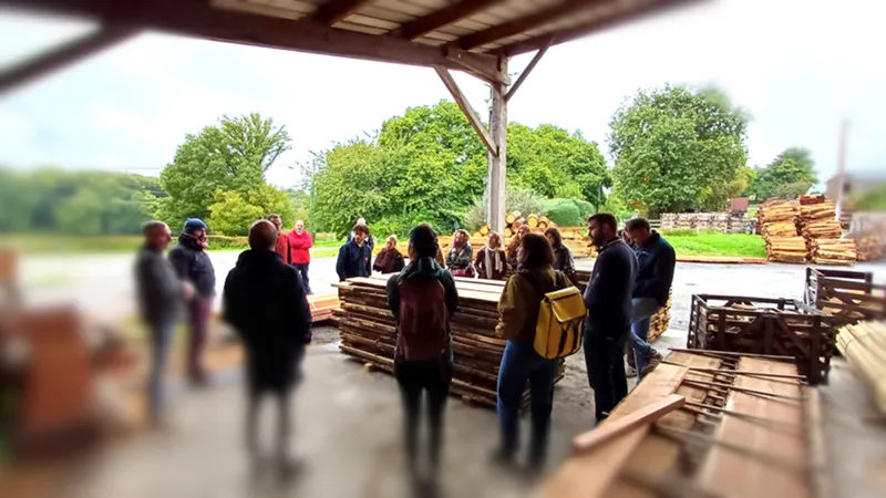 Le bois de châtaignier